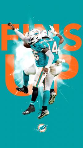 Dolphins Wallpaper Miami