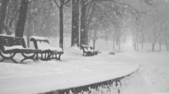 Snow Falling Wallpaper