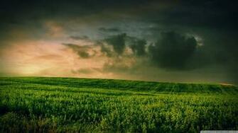 Amazing World Beautiful Nature And Flowers Wallpaper