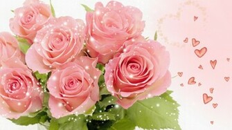 Pretty Pink Rose Wallpaper Colors