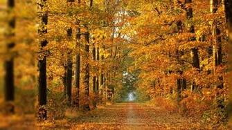 Fall Desktop Background Wallpaper Gallery H