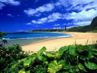 HD Desktop Wallpaper Hawaii