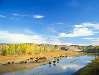 Little Missouri Theodore Wallpaper By Sosyalinsan
