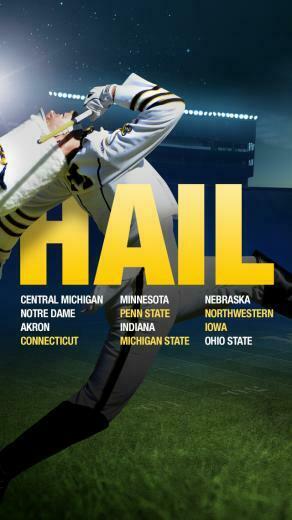 Michigan Football Fan Art The