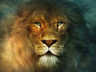 Lion Wallpaper