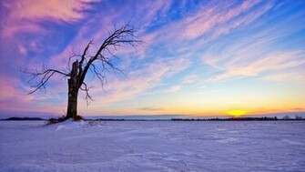 Winter Sunset HD Wallpaper For iPhone