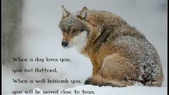 Wolf Pack Wallpaper