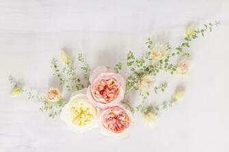 Digital Blooms May Desktop Wallpaper Justinecelina