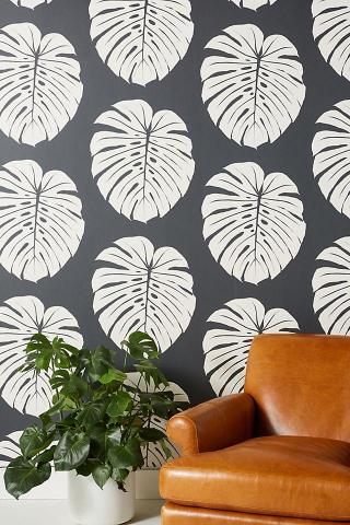 Monstera Leaf Wallpaper Anthroliving