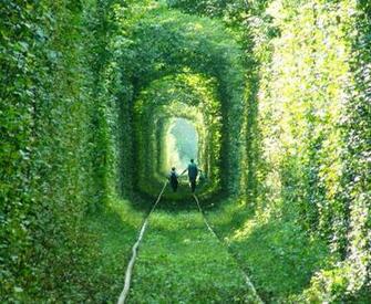 The Tunnel Of Love In Ukraine Is A Gorgeous Spot If You Green