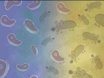 Catdog Image Background Wallpaper And