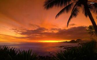 Wallse Hawaii Sunset Desktop Beach