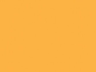 Resolution Pastel Orange Solid Color Background