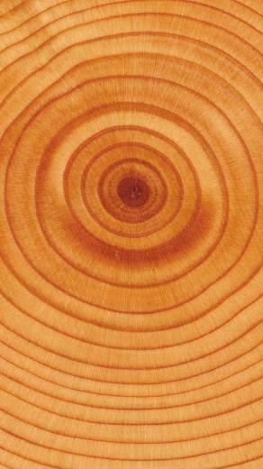 Related HD iPhone Wallpaper Themes And Background