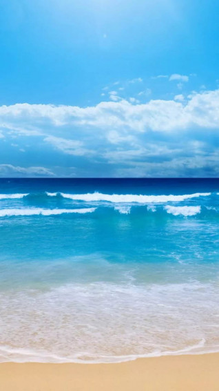 Summer iPhone Wallpaper