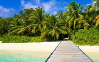 Nature Wallpaper Landscape Beach Sand Palm Trees Ocean