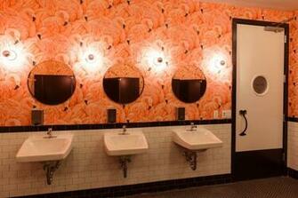 Flamingo Wallpaper Flamboyant Eye Catching