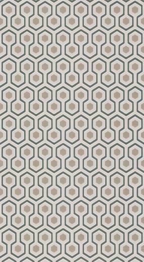 Cole Son Contemporary Restyled Hicks Hexagon