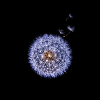 The Official Samsung Galaxy S9 Wallpaper Here