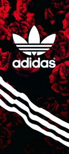 Supreme Wallpaper X Lv iPhone Hnh Nn Adidas Cho