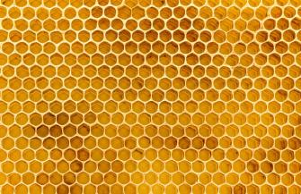 Honeycomb Texture Wallpaper Mural In