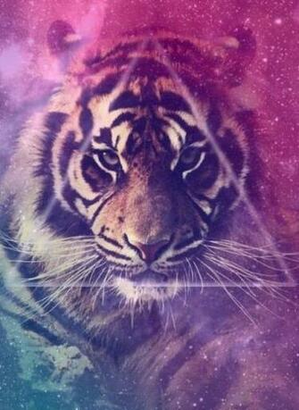 Lion Galaxy