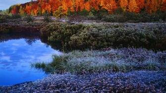 Autumn Wallpaper X