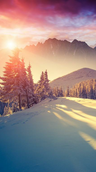 Winter Sun Galaxy S5 Wallpaper