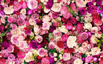 Kate Spade Wallpaper