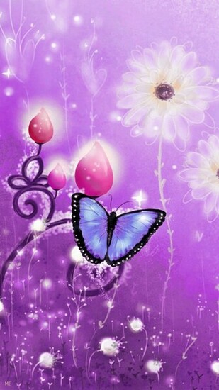 Butterfly Black And White Butterflies Green Bee