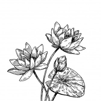 Intricate Black And White Abstract Drawing Wallpaper