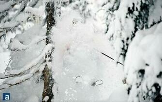 Powder Skiing Wallpaper Image Pictures Becuo