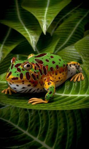 Pacman Frog Livewallpaper Android Apps On Google Play