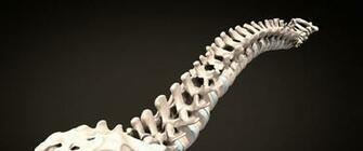 Newyork Presbyterian The Spine Hospital A World Leader In Care