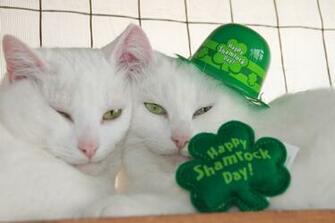 Life In The Carolina Mountains Happy St Patrick S Day