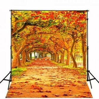 Autumn Leaves Backdrops Photographic Background Children Photo