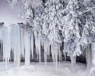 Winter Dreamy Snow Scene Wallpaper Fg