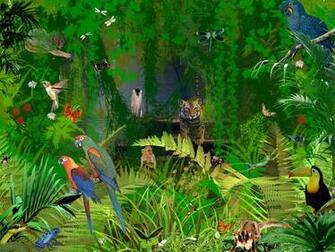 Animales De La Selva Naturaleza En Todo Su Esplendor Con Los
