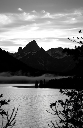 Black And White Nature Wallpaper