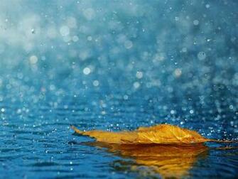 Nature Wallpaper Desktop Background HD