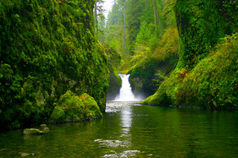 Pond Tree Forest Green Nature Waterfall 4k Ultra HD Wallpaper