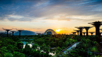 Wallpaper Park Structure Dawn Sunrise Trees Bridge River