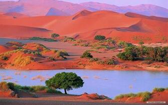 Wallpaper Desert Scenery Index