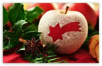 Christmas Apple HD Wallpaper For Standard Fullscreen Uxga Xga