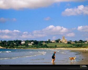 Newport Rhode Island Woman And Dog Photo Of The Day Picture