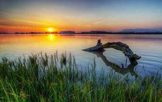 Loch Ness Monster By Ivanandreevich