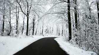 Winter Road Wallpaper HD