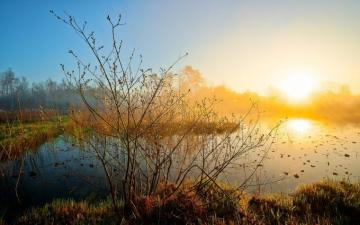 Wallpaper Spring Morning Dawn Prairie Marsh Grass Desktop