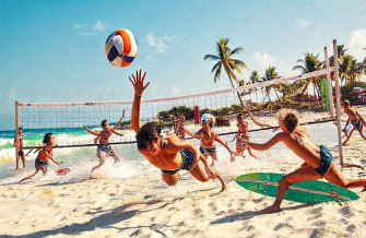 Volleyball Wallpaper And Background