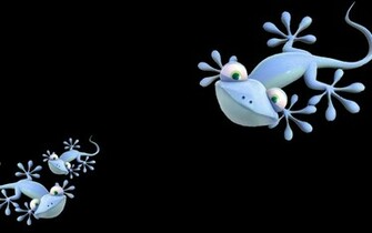 Frog Funny Image Wallpaper Wallpaperlepi